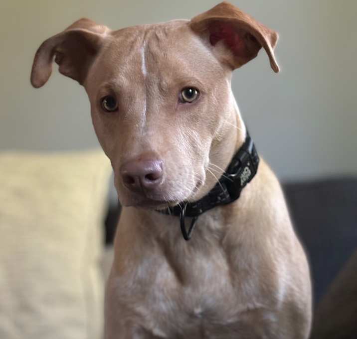 Photo of Charlie