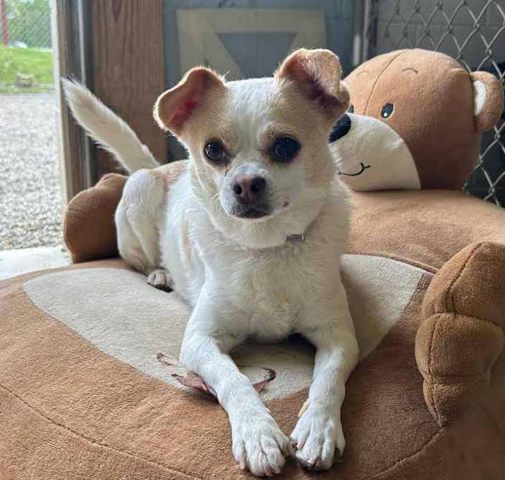 Photo of Luna