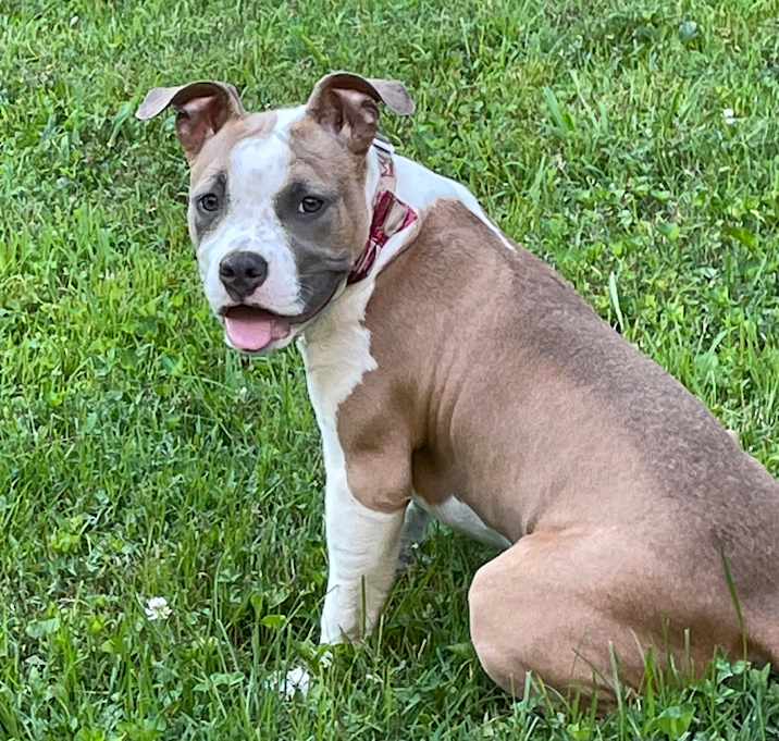 Photo of Mocha