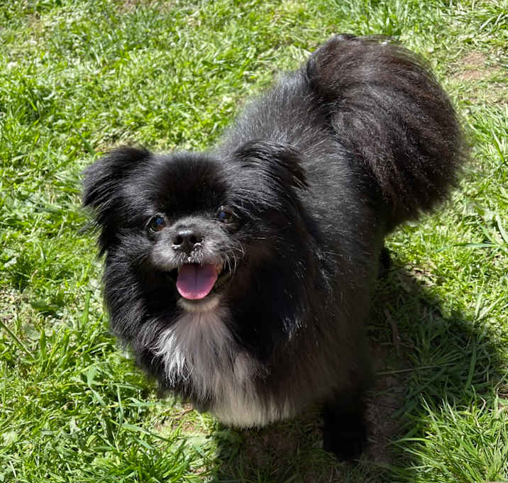 Photo of LUCKY