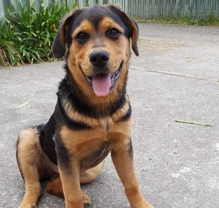 Photo of Charlie
