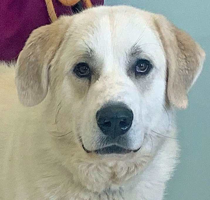 Photo of Ajax