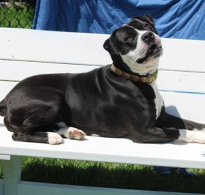 Photo of Tuck