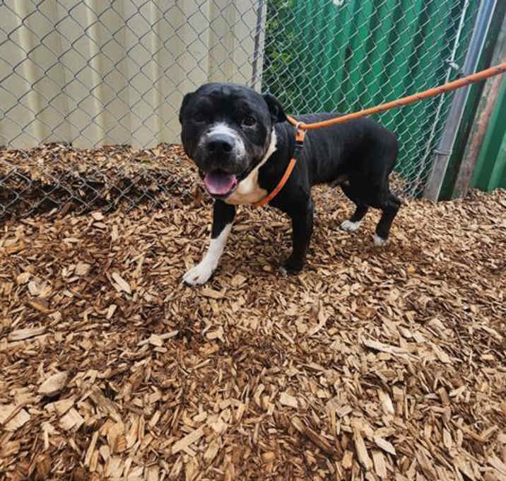 Photo of BUSTA