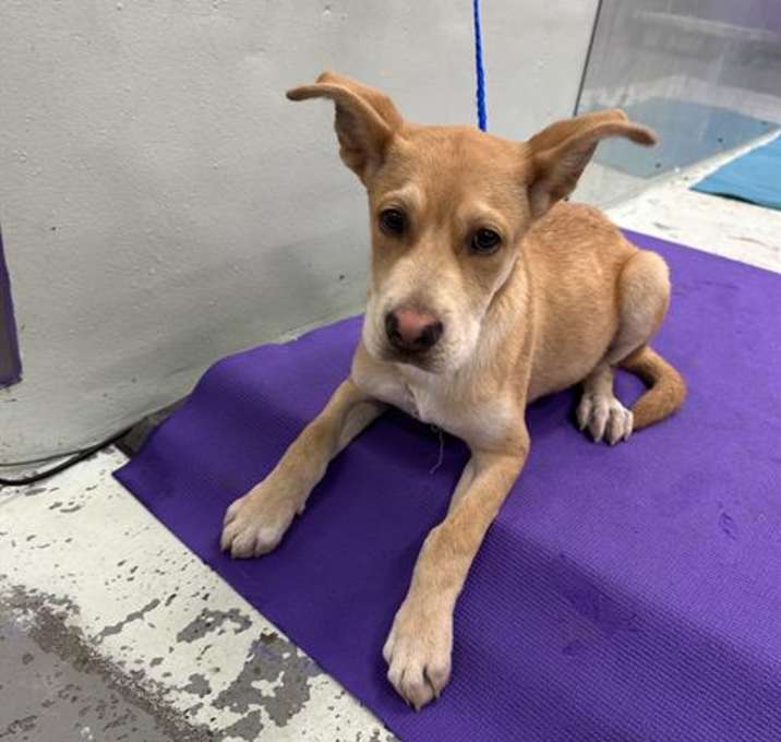 Photo of A2014954