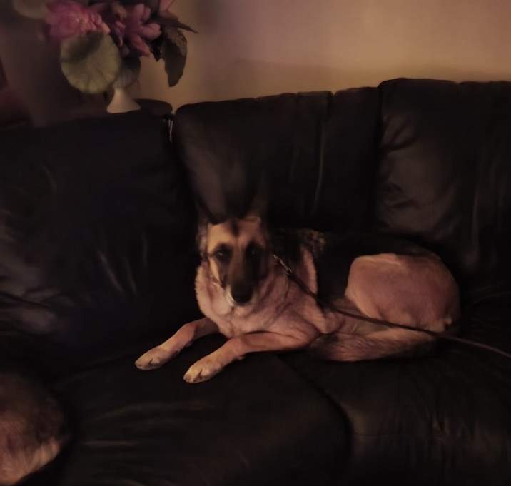 Photo of RuKus