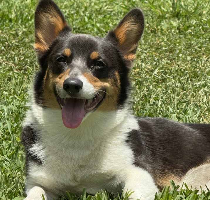 Photo of Gus