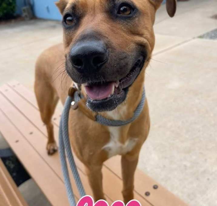 Photo of Coco