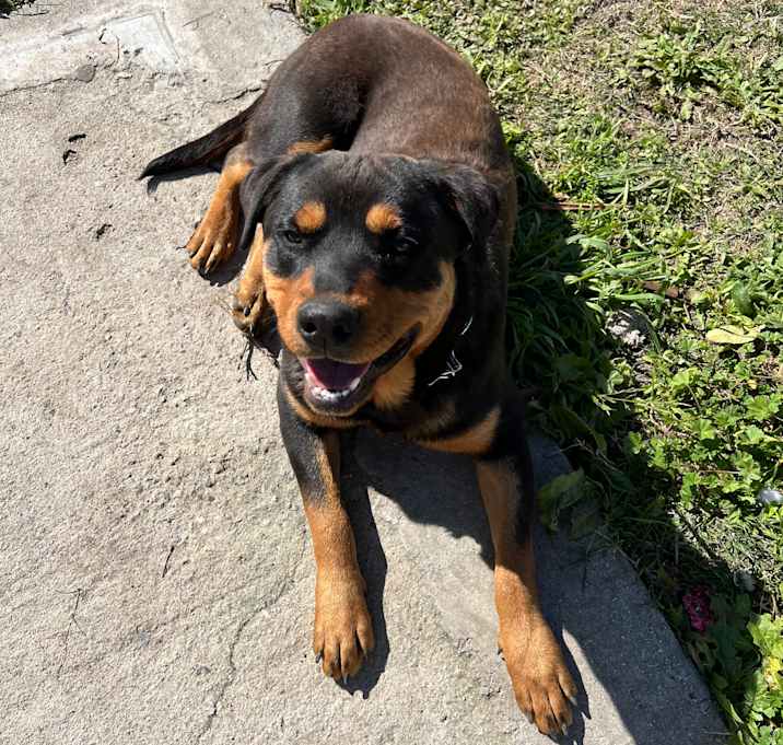 Photo of Zeus