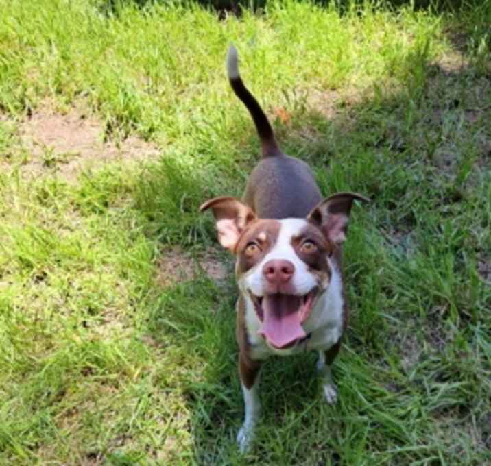 Photo of CoCo