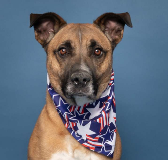 Photo of Watson