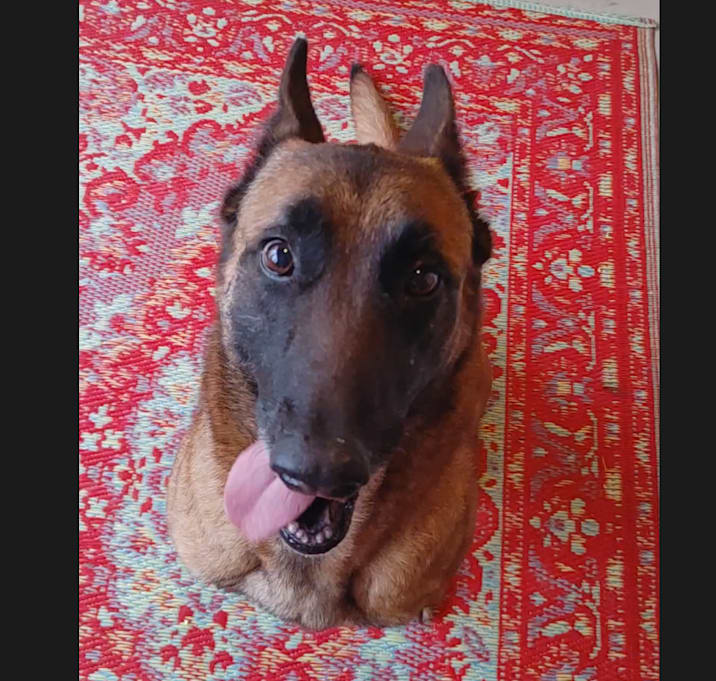Photo of Lily
