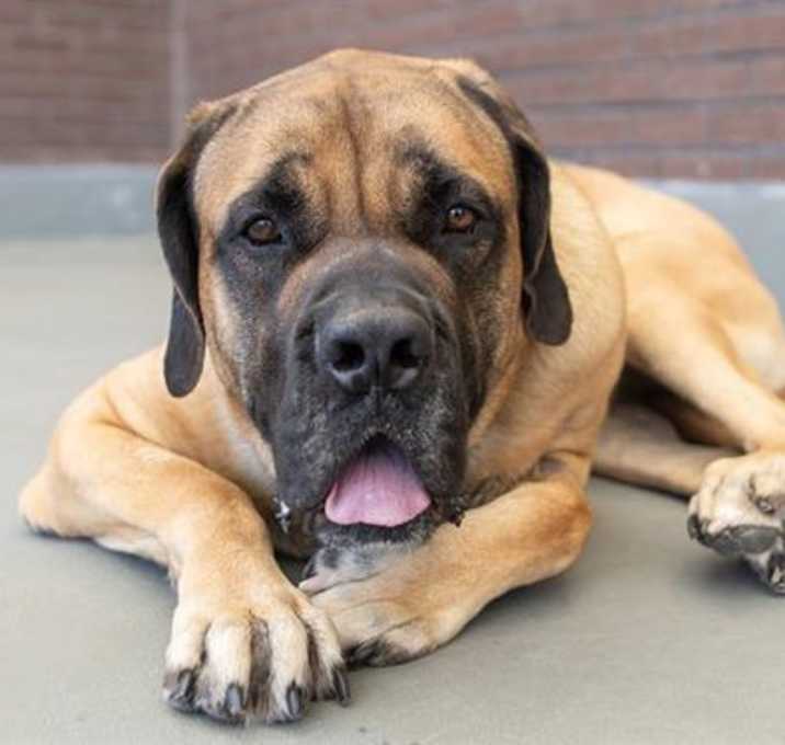 Photo of CODA