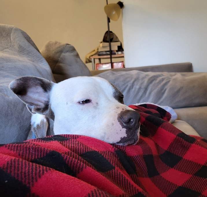 Photo of Jaxx
