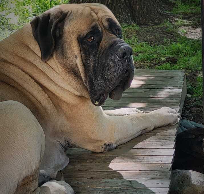 Photo of Cash