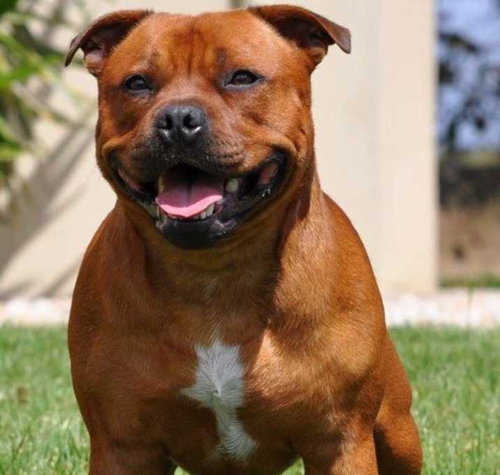Photo of Winnie