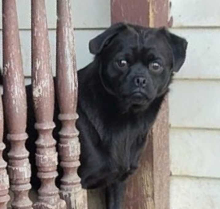 Photo of Jethro