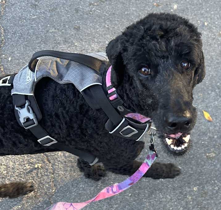 Photo of Beatrice