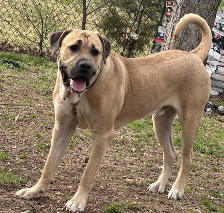 Photo of Zeke