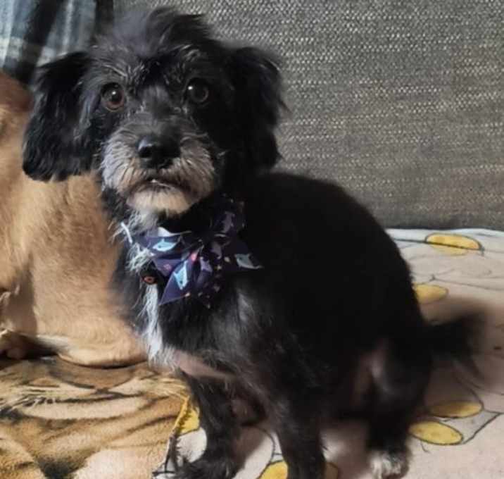 Photo of Molly