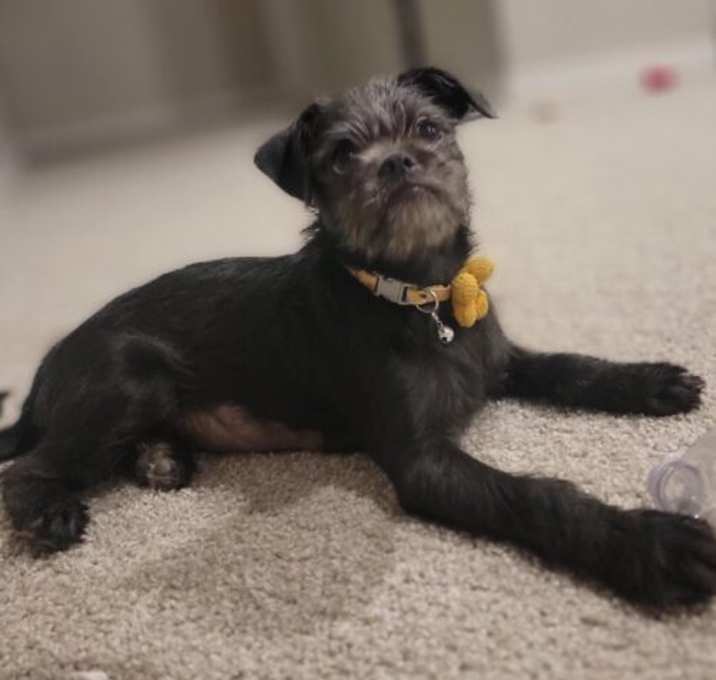 Photo of Bean (aka Winnie)