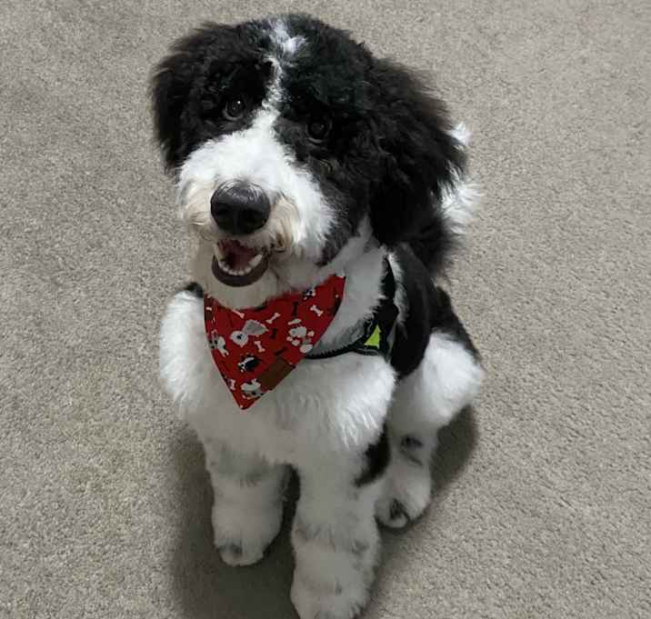 Photo of Frodo