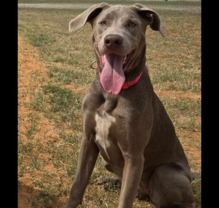 Photo of Tilly