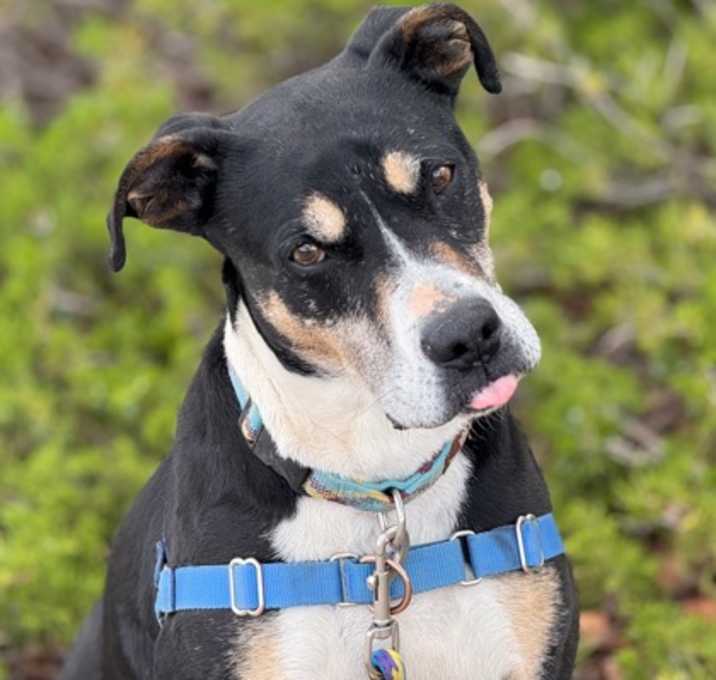Photo of Dudley