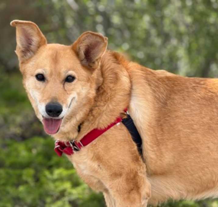 Photo of Ellie
