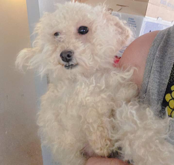 Photo of Max