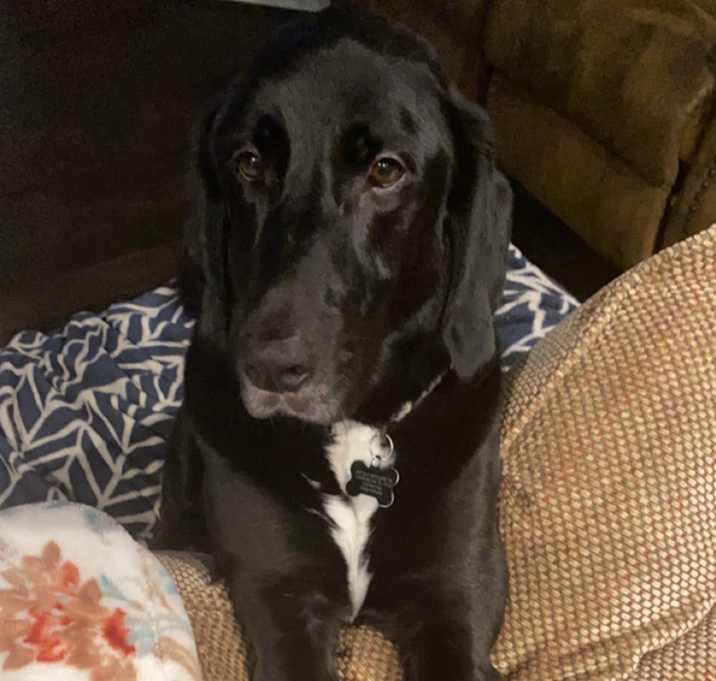 Photo of Shooter