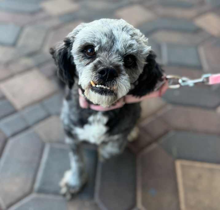 Peggy Photo #1