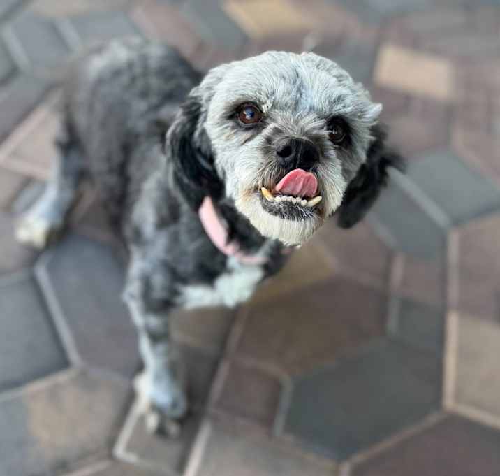 Peggy Photo #2
