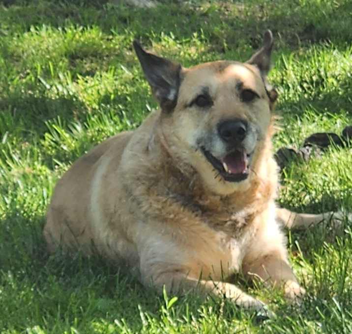 Photo of Hope