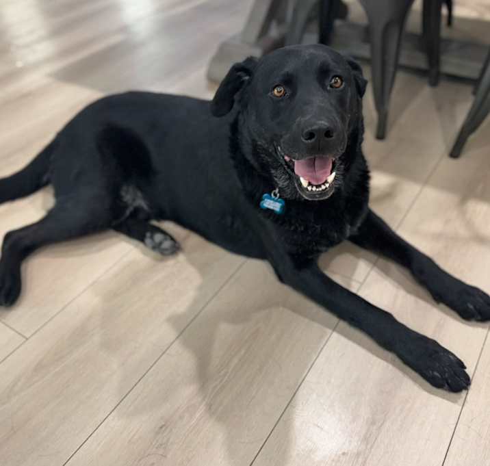 Charley Photo #1