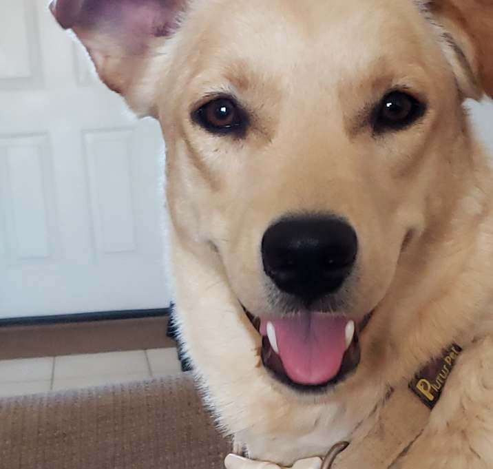 Photo of Butters