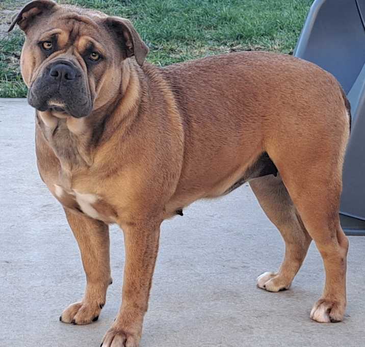 Photo of Coco
