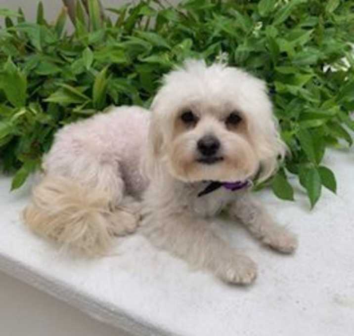 Photo of DUNCAN