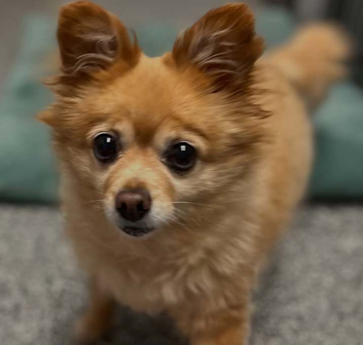 Photo of MOLLY