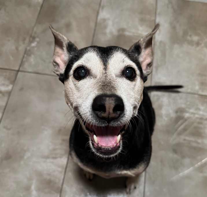 Photo of Chloe
