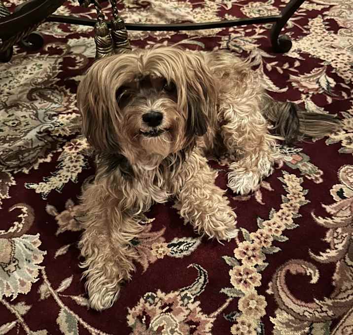 Photo of Mason