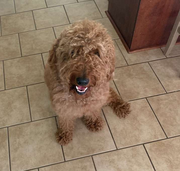 Photo of Finn