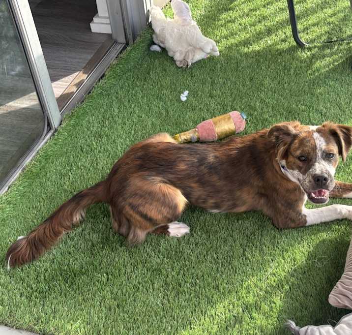 Photo of Arya