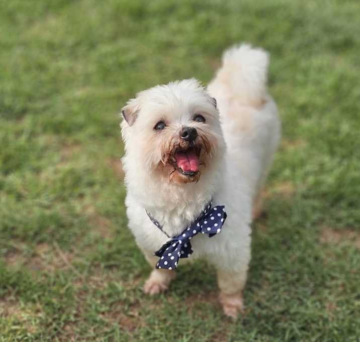 Photo of Mika