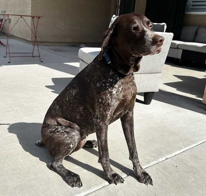 Photo of Brinley