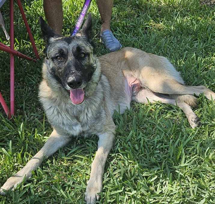Photo of LOKI