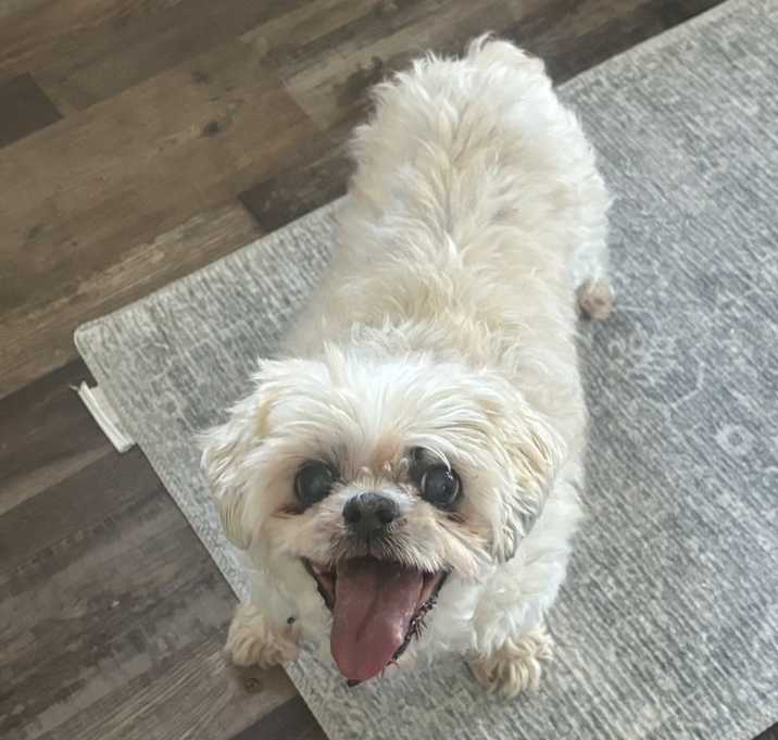 Photo of Mabel