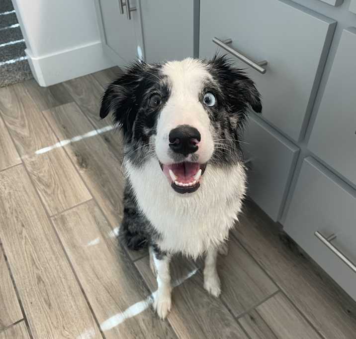 Photo of Riley