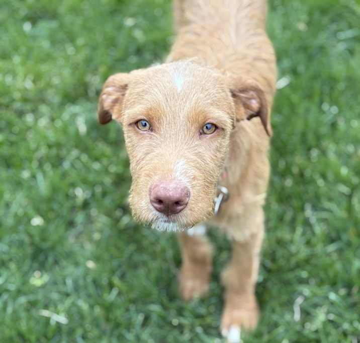 Photo of Sawyer