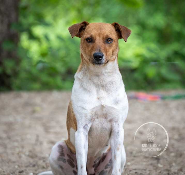 Photo of AAD New Arrival!  Lola - 25122